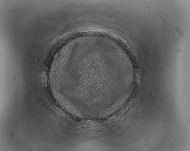 X0000111871493200908131600