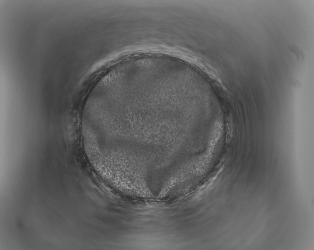 X0000111871494200908131600