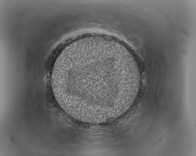 X0000111871495200908131600