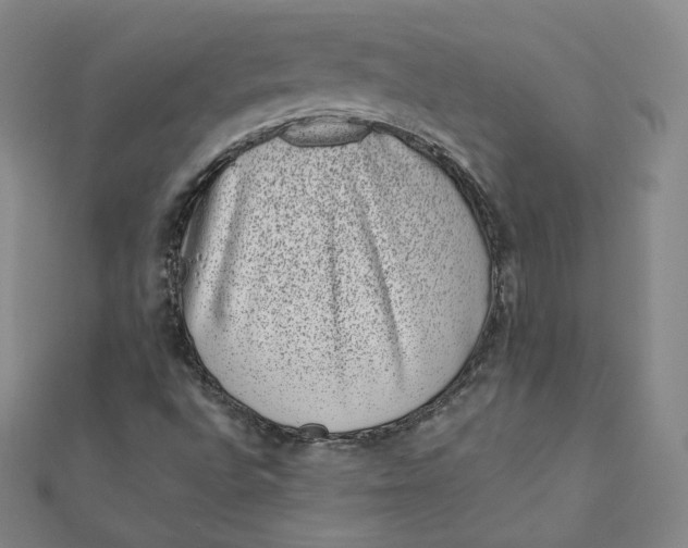 X0000111871496200908131600