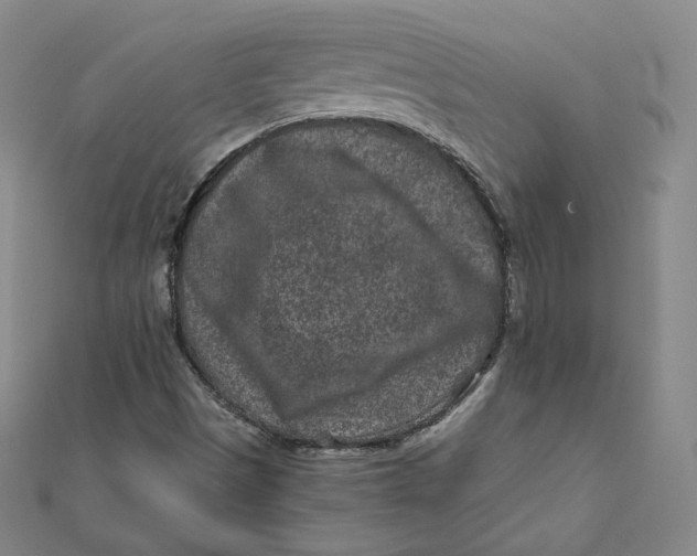 X0000111871497200908131600