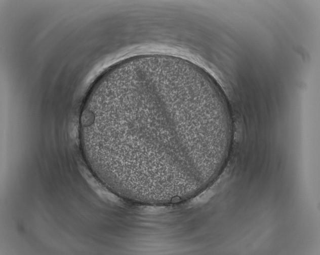 X0000111871499200908131600