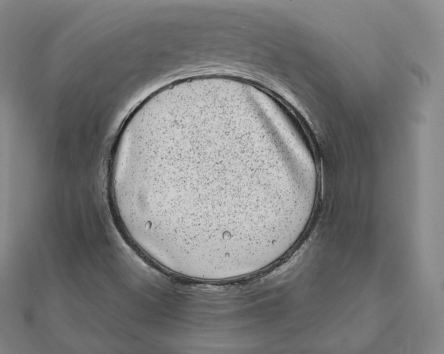 X0000111871500200908131600