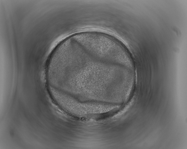 X0000111871501200908131600