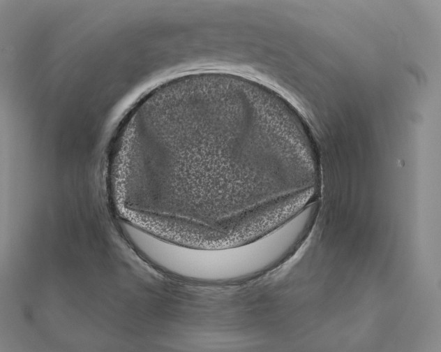 X0000111871502200908131600