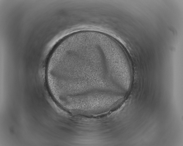 X0000111871503200908131600