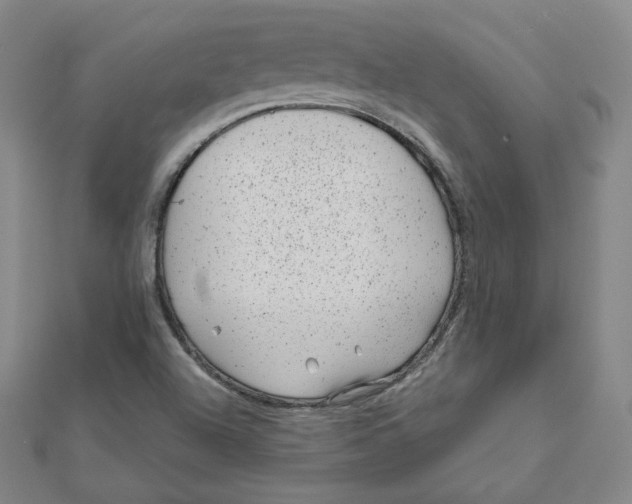 X0000111871504200908131600