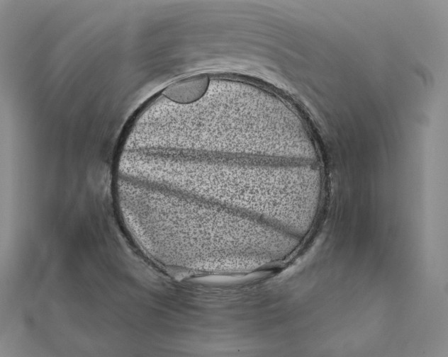 X0000111871505200908131600