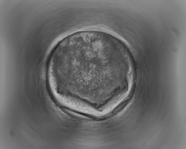 X0000111871506200908131600