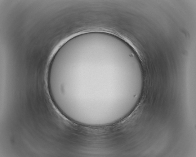 X0000111871508200908131600