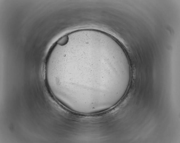 X0000111871510200908131600