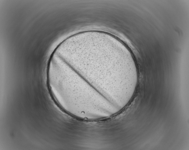 X0000111871512200908131600