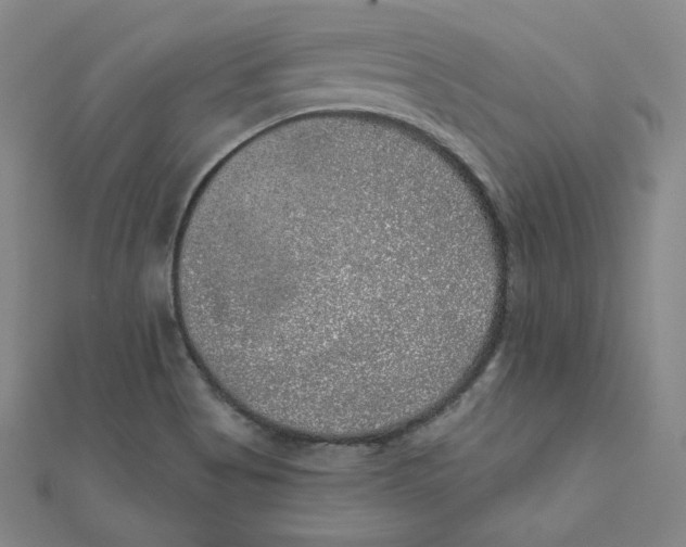 X0000111871513200908131600