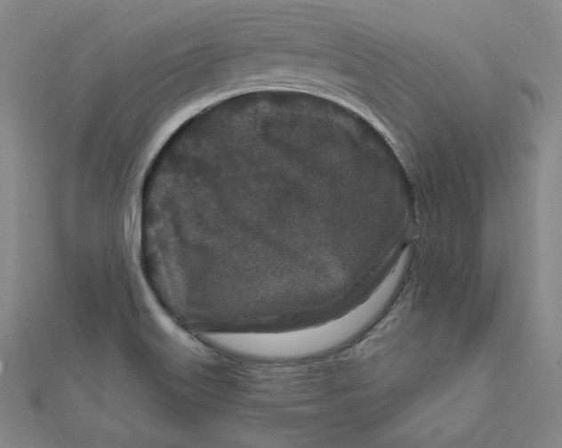 X0000111871515200908131600