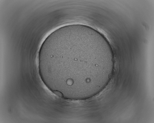 X0000111871516200908131600