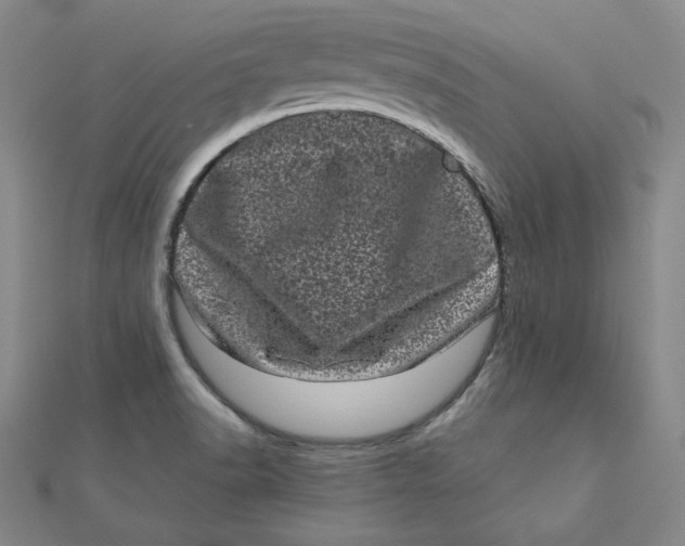 X0000111871518200908131600