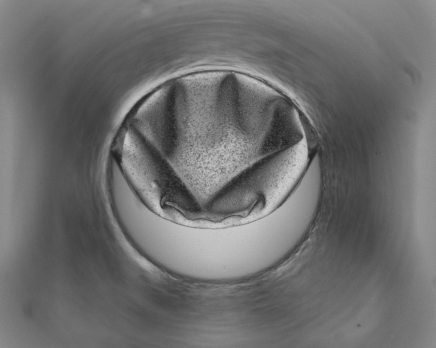 X0000111871519200908131600