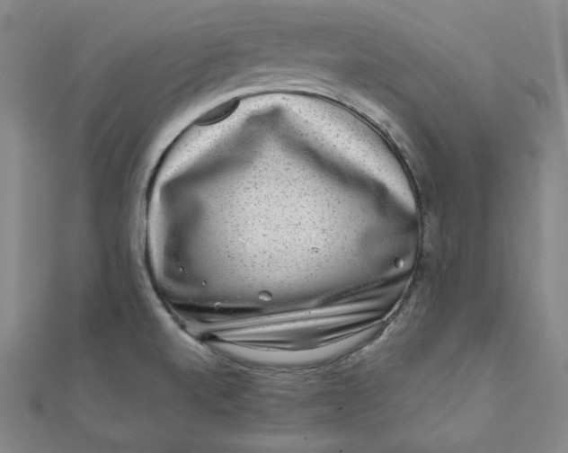 X0000111871520200908131600