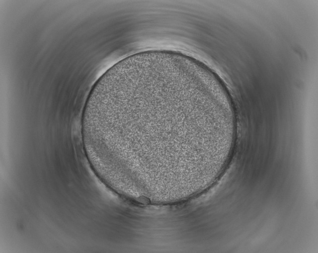 X0000111871521200908131600