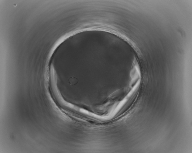 X0000111871522200908131600