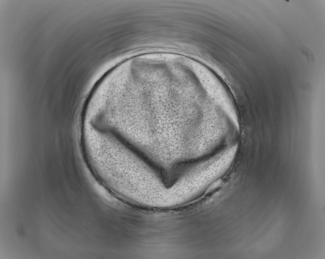 X0000111871523200908131600