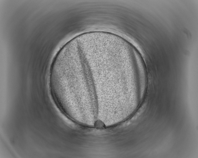 X0000111871525200908131600