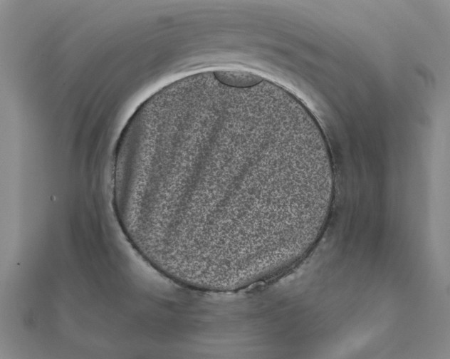 X0000111871526200908131600