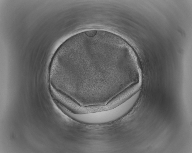 X0000111871527200908131600