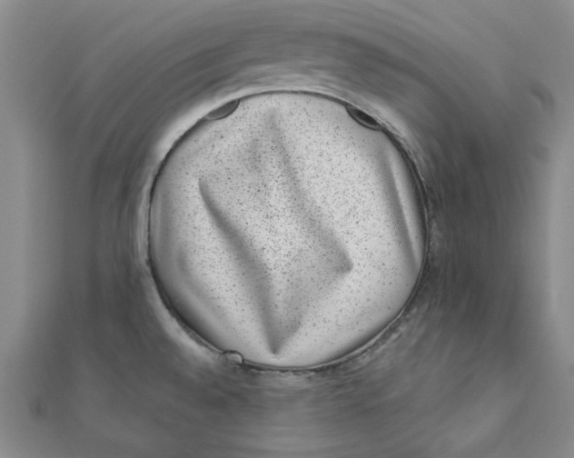 X0000111871528200908131600