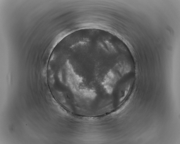 X0000111871529200908131600