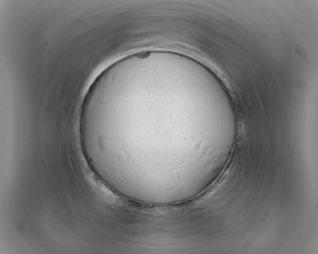 X0000111871530200908131600