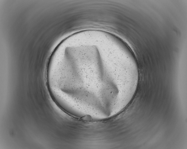 X0000111871531200908131600