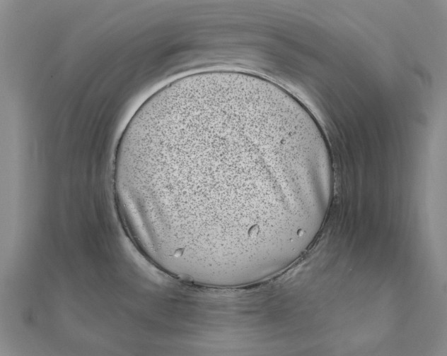 X0000111871532200908131600