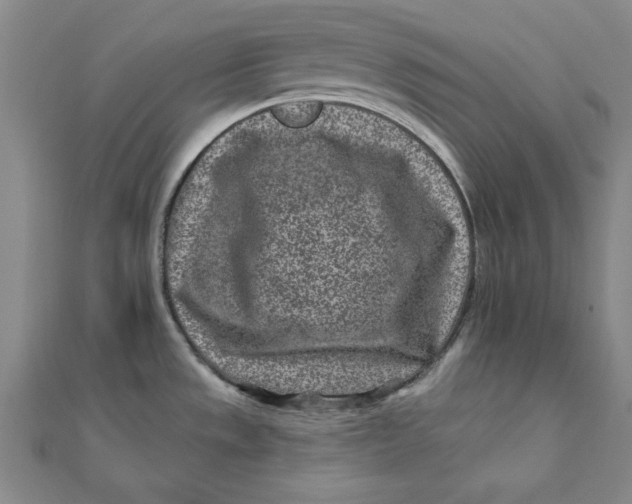 X0000111871533200908131600