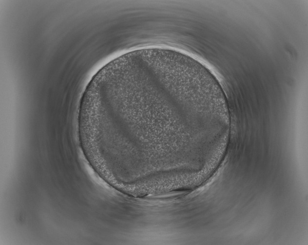 X0000111871534200908131600