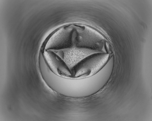 X0000111871536200908131601