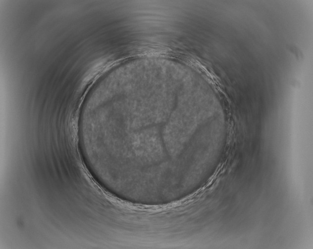 X0000111870002200908201226