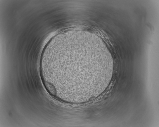 X0000111870003200908201226