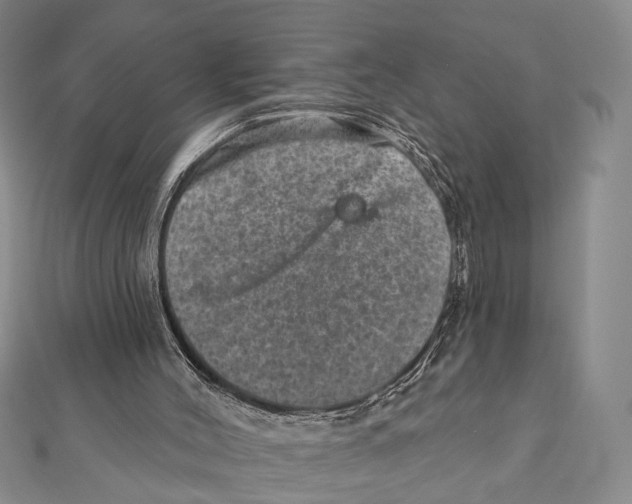 X0000111870004200908201226