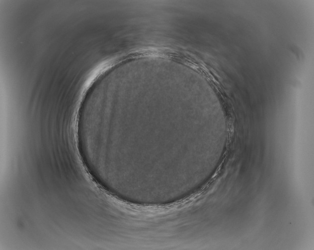 X0000111870006200908201226