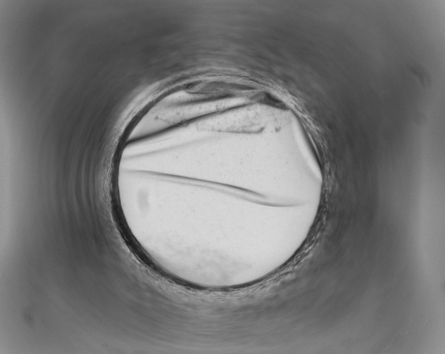 X0000111870007200908201226