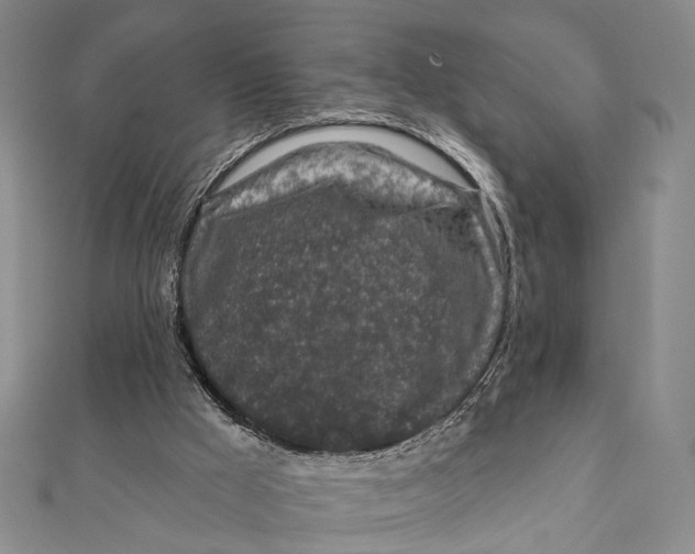 X0000111870009200908201226