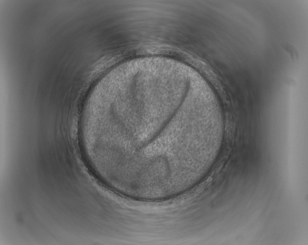 X0000111870010200908201226