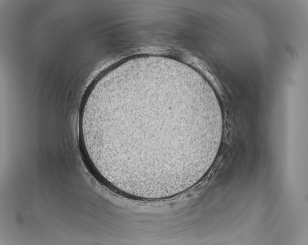 X0000111870011200908201226