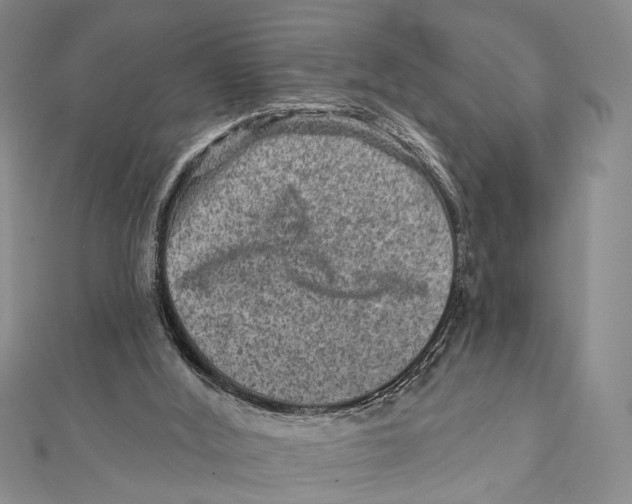 X0000111870012200908201226