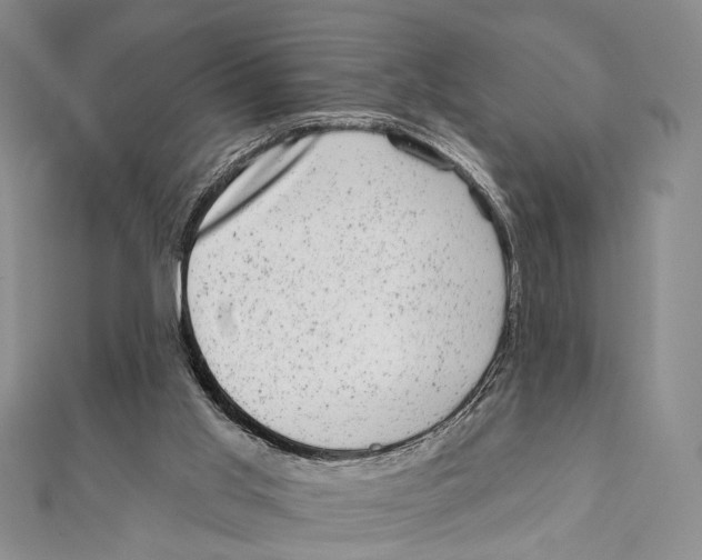 X0000111870013200908201226