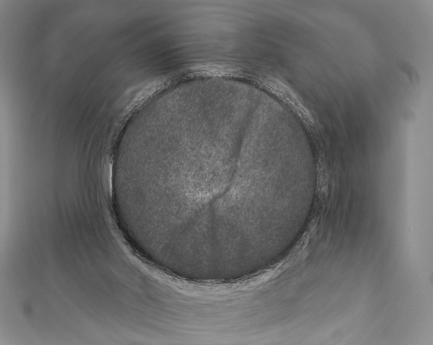 X0000111870014200908201226