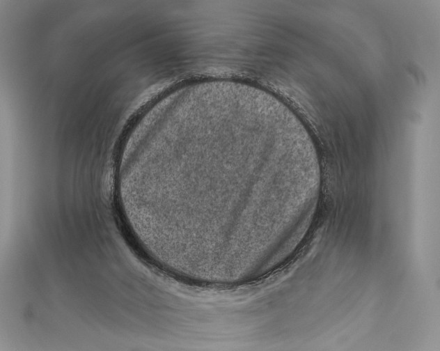 X0000111870016200908201226