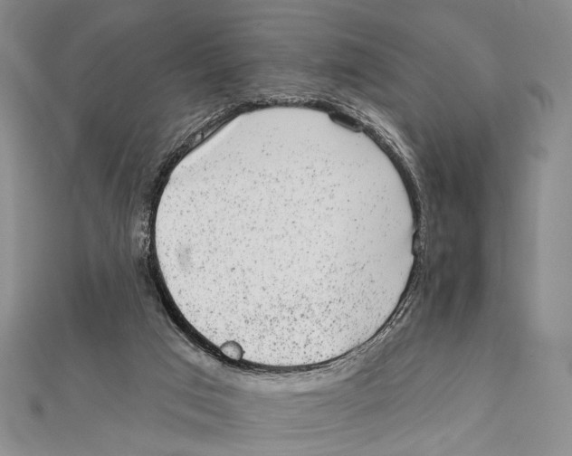 X0000111870017200908201226