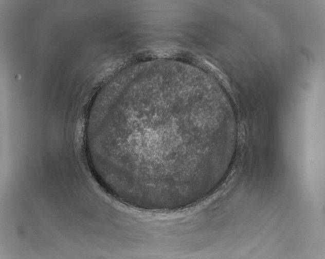 X0000111870018200908201226